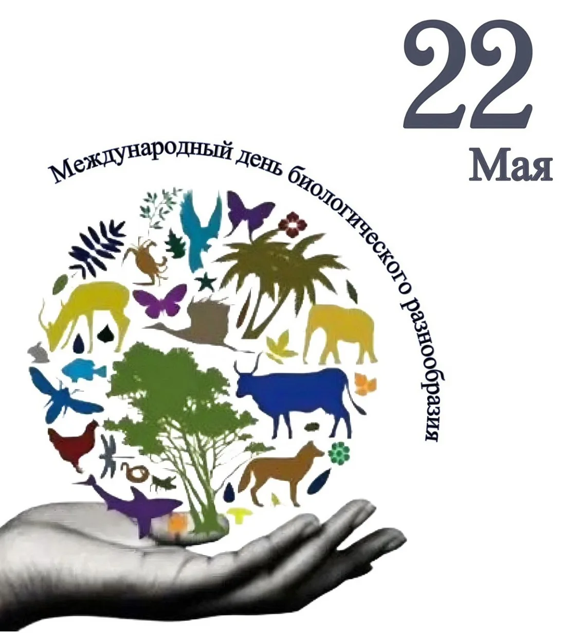 🌍 22 мая – Международный день биологического разнообразия: Наш общий дом нуждается в н...