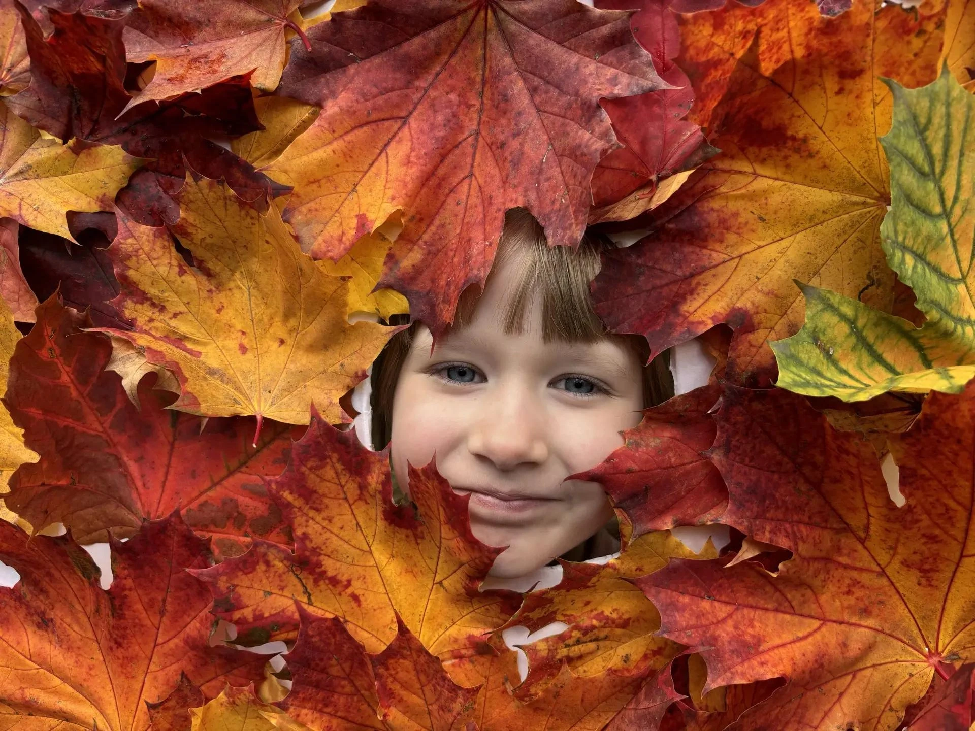 🍁 Осень не только раскрашивает листья в яркие цвета, но и вдохновляет на творчество.