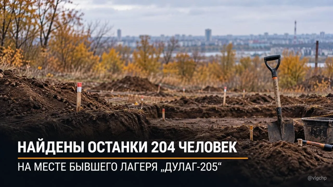 Останки 204 человек нашли на месте бывшего лагеря «ДУЛАГ-205» в Волгограде.