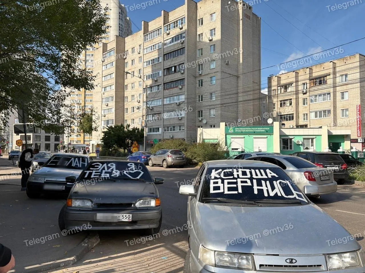У ВЭПИ заметили три необычно оформленных автомобиля