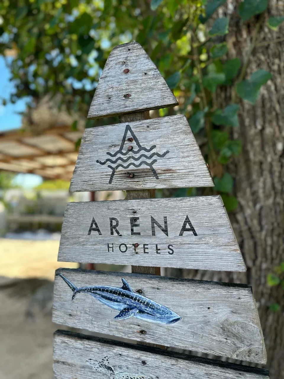 МАЛЬДИВЫ ПО ЦЕНЕ ТУРЦИИ 🏝️
