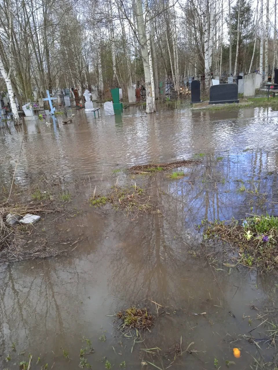 🌊 Ново-Стригинское кладбище ушло под воду  Погост на Автозаводе превратился в болото из-за сильного 