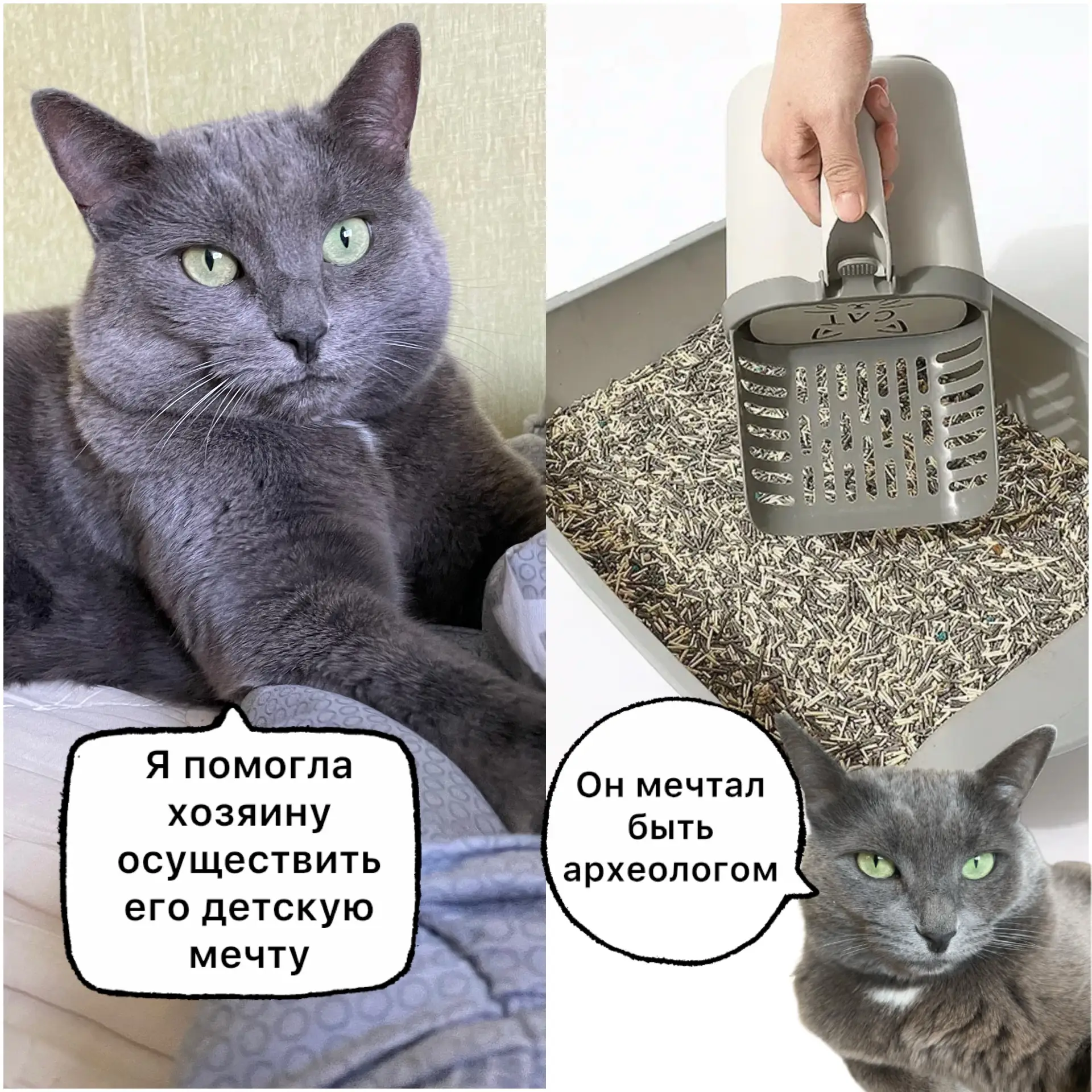 И тут кошка помогла😺