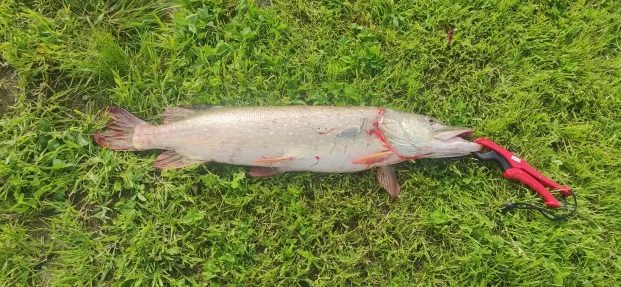 Ждем вас в числе наших гостей за плодотворной рыбалкой!😍🎣