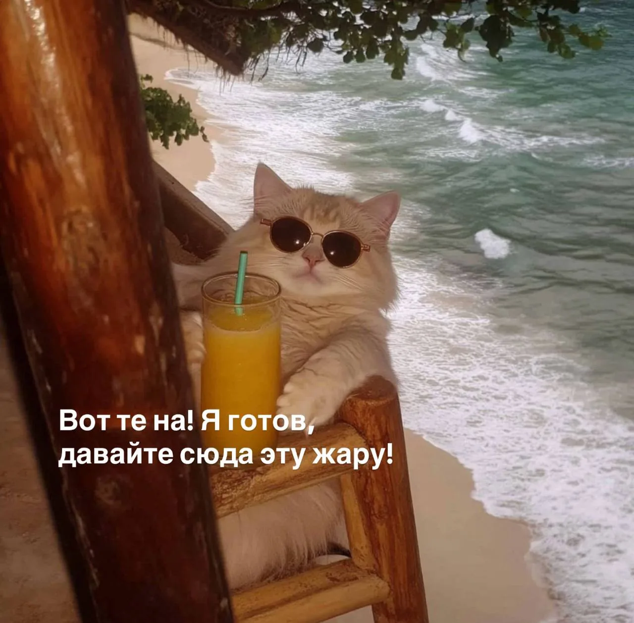 ☀️ Выходные в Красноярске будут жаркими: обещают до +30 градусов! 

Красноярск с огоньком | Подписат