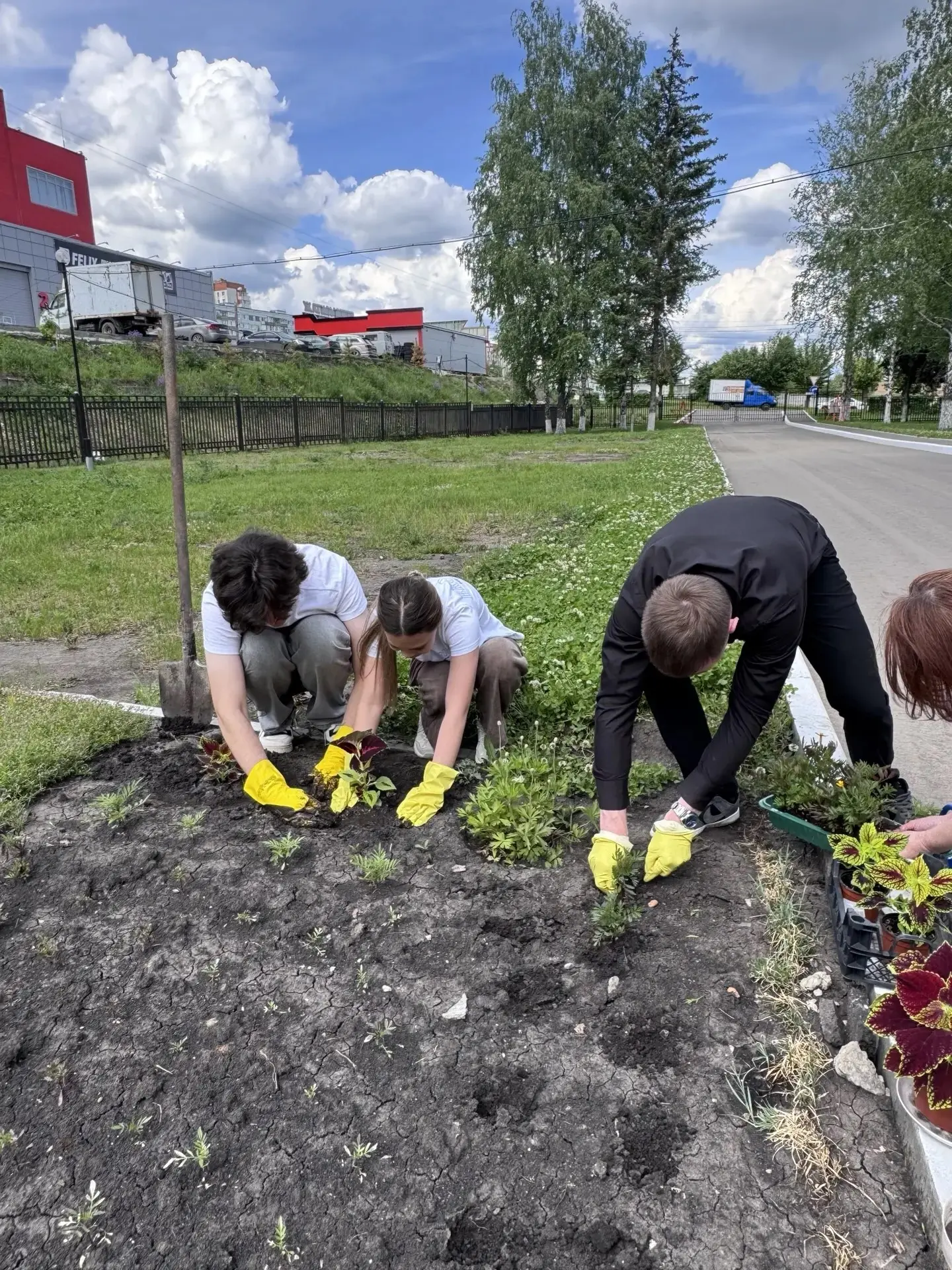 🇷🇺 Филиал в г. Пензе присоединился к Всероссийской акции «Цветы России»