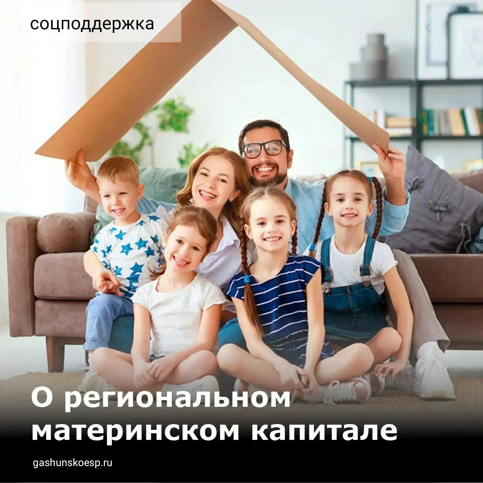 В Ростовской области особое внимание уделяется поддержке многодетных семей, одной из значимых мер со
