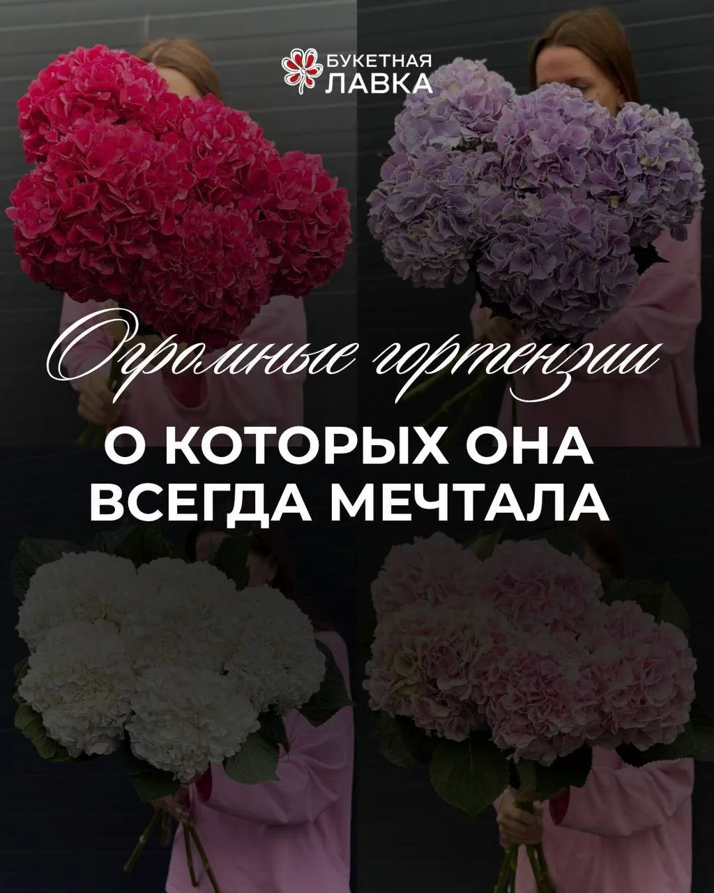 ✨ГОРТЕНЗИИ✨