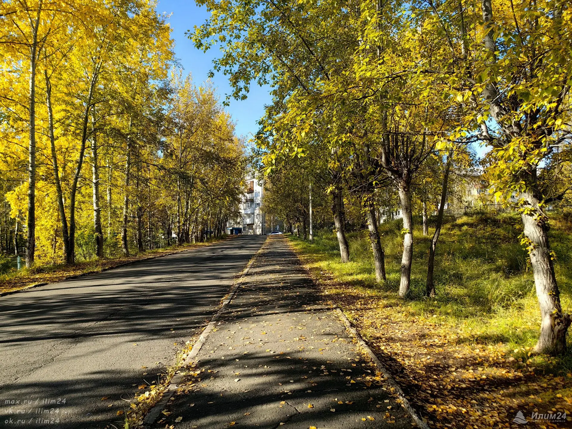 Усть-Илимск в сентябре 🍁 Красивая осень на улице Булгакова 🍂
