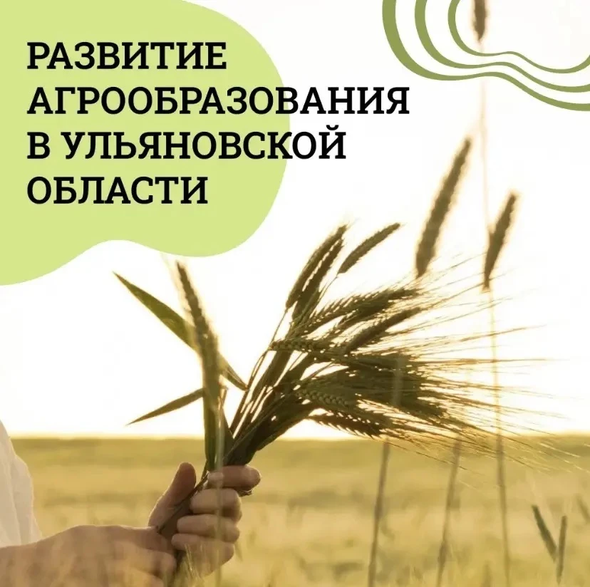 Как в Ульяновской области куют кадры для сельского хозяйства

Аграрное образование сегодня — это сов