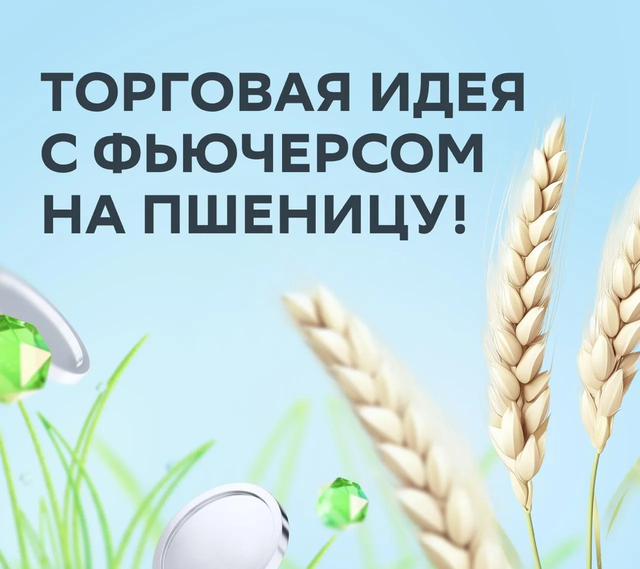 🌱 Новая идея от СберИнвестиций: пшеница на отскоке!