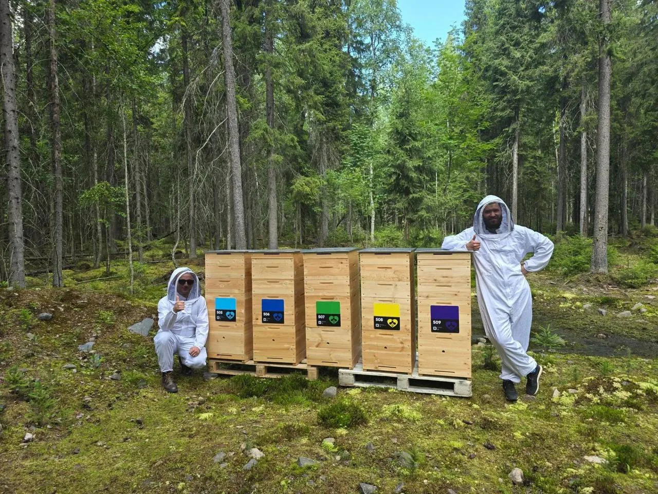 На пасеке в Краснодарском крае закончились свободные ульи😱