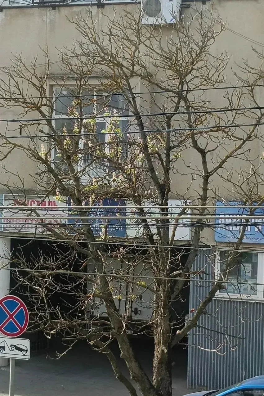 Удивительное рядом
