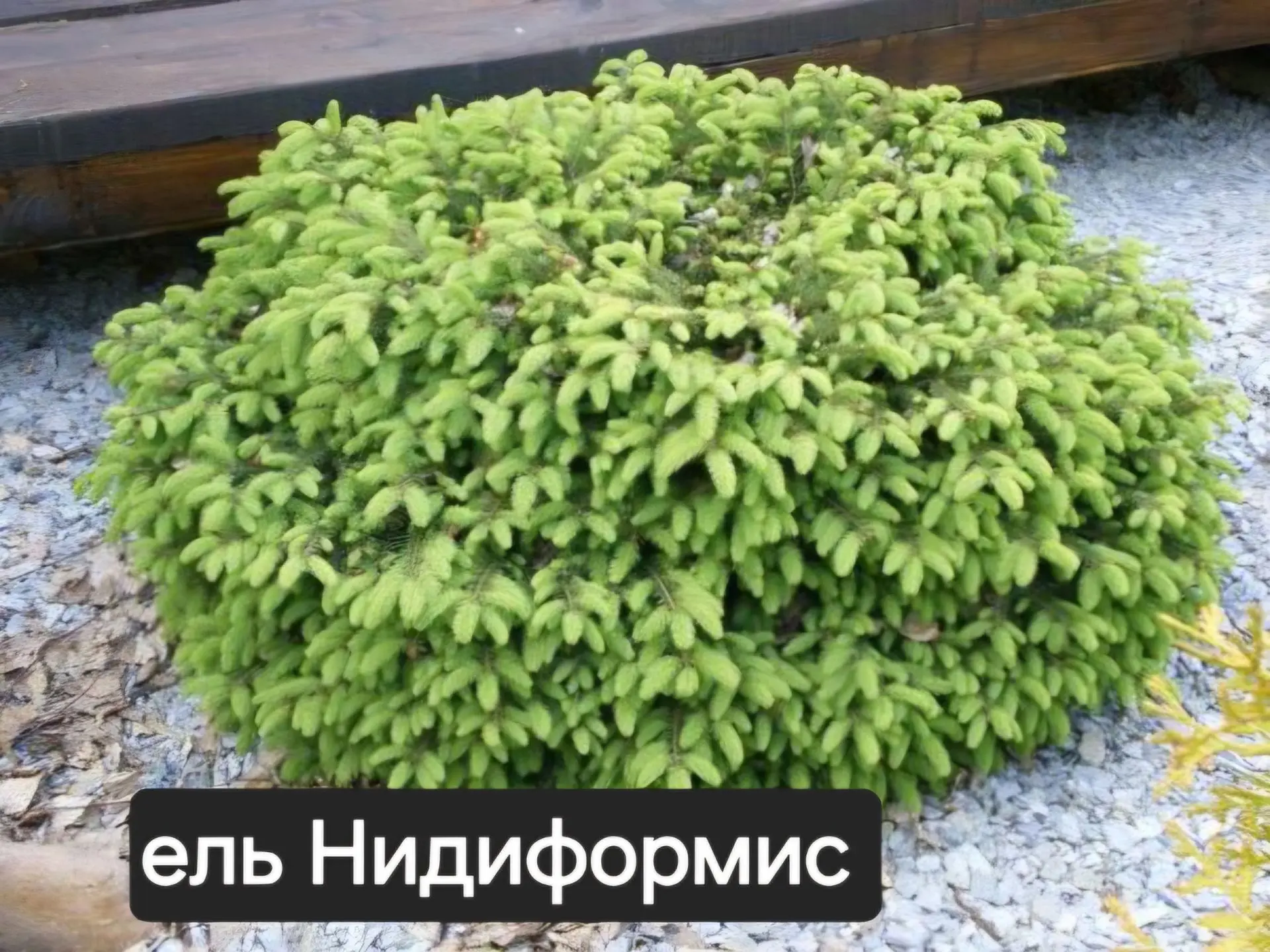 Друзья,  добрый день!!!