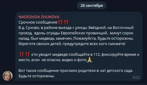 Уже ленивый только не следит за судьбой медведя в Ленинском районе. Вот и до нашего рай...