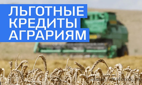 Минсельхоз России меняет правила льготного
кредитовая аграриев
 
      Минсельхоз России подготовил 