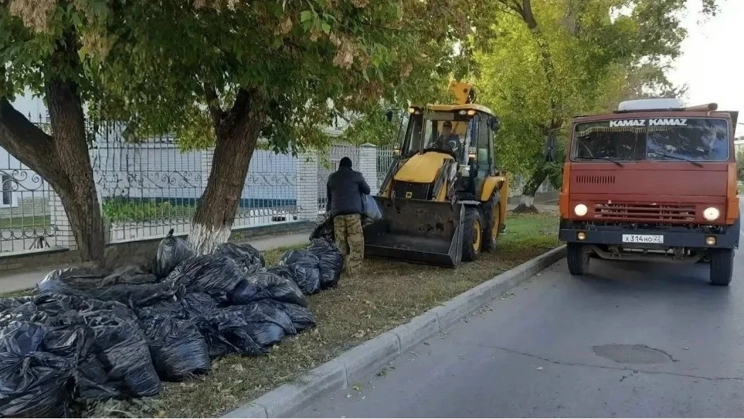 Стала известна дата общегородского субботника в Барнауле 🍂