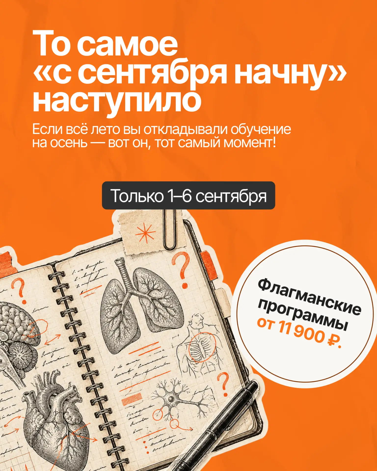 С 1 по 6 сентября в MD. school — большая распродажа: флагманские программы от 11 900 ₽ 🔥