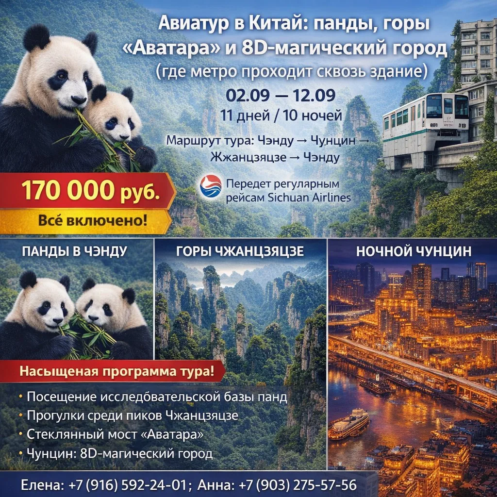 Авиатур в Китай: панды, горы «Аватара» и 8D‑магический город