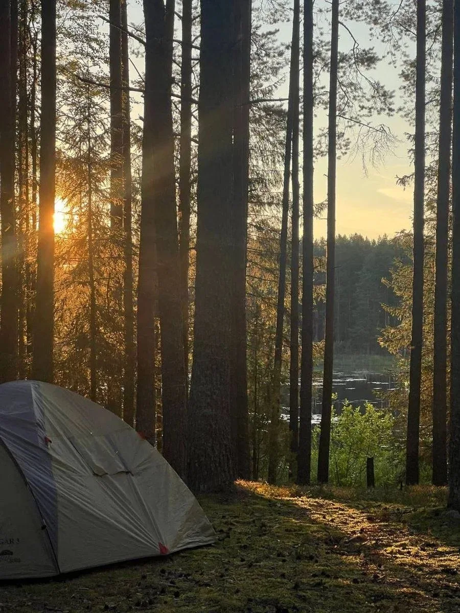 🌲Изначально человек жил на природе. Чувствовал, как меняется свет, как лето сменяет осень, а следом