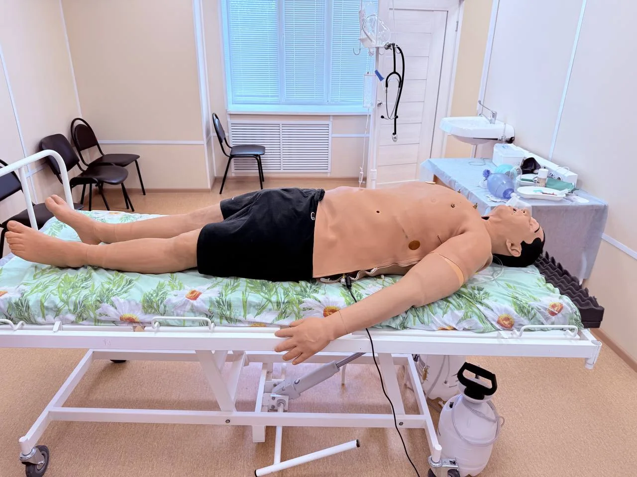 Погружение в профессию: практика первой помощи в симуляционном центре

Сегодня 10Б, химбио, вышел за