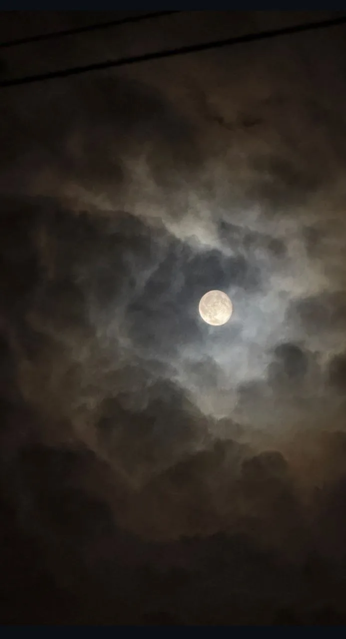 Геническ. Атмосферно 🌓