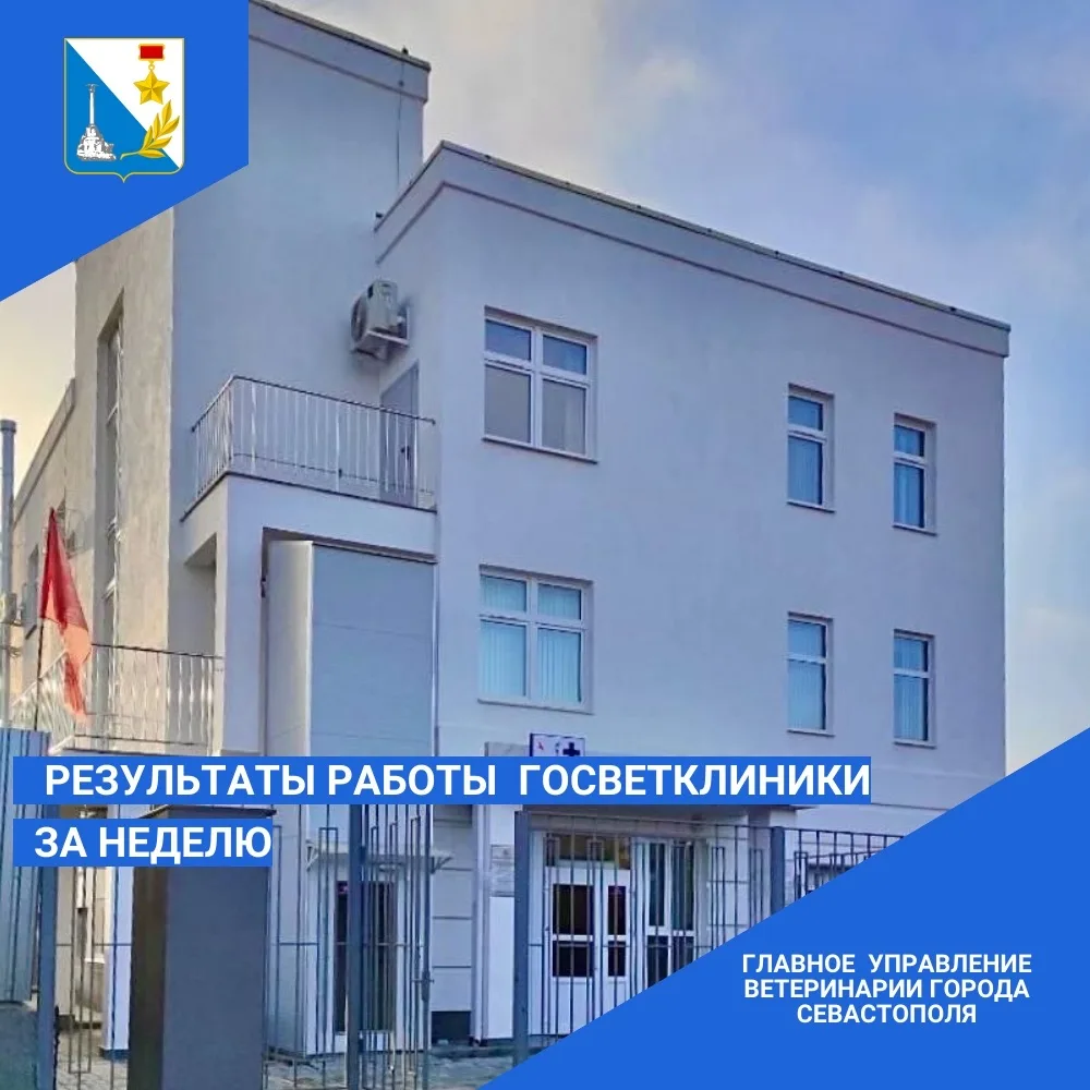 Итоги работы ветеринарной клиники на улице Могилевская, 16 за неделю.