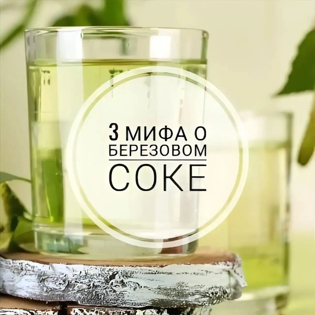ЖИВОЙ БЕРЁЗОВЫЙ СОК ИЗ ХАБАРОВСКОГО КРАЯ 🌿🥤