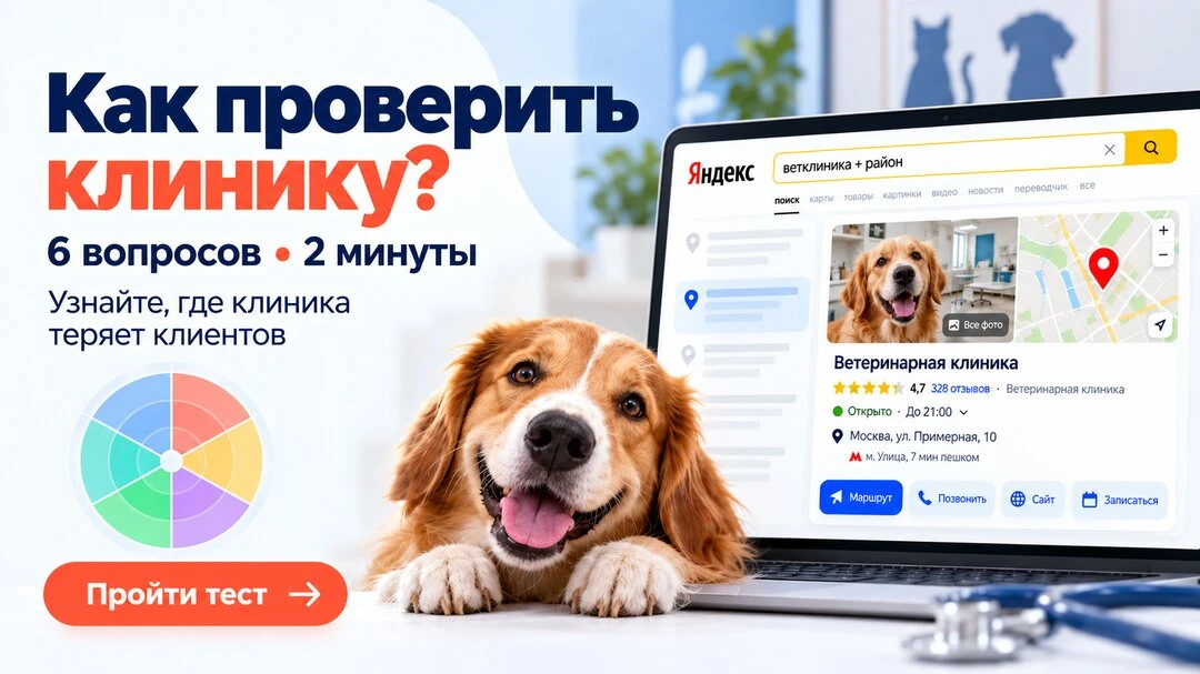 Аудит ветклиники за 30 минут. Где теряете пациентов