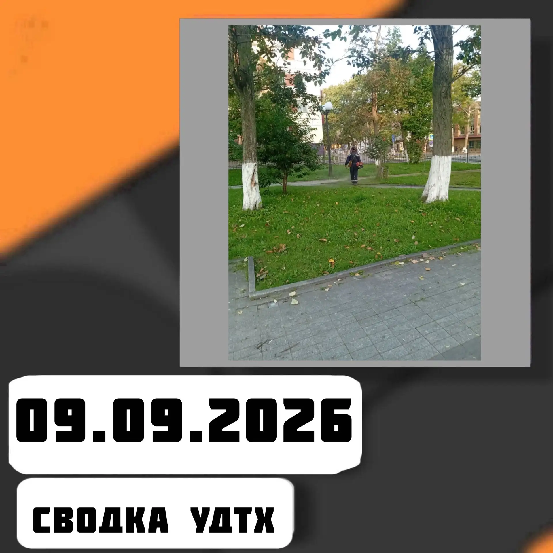 ➡️Сводка УДТХ на 09.09.2026