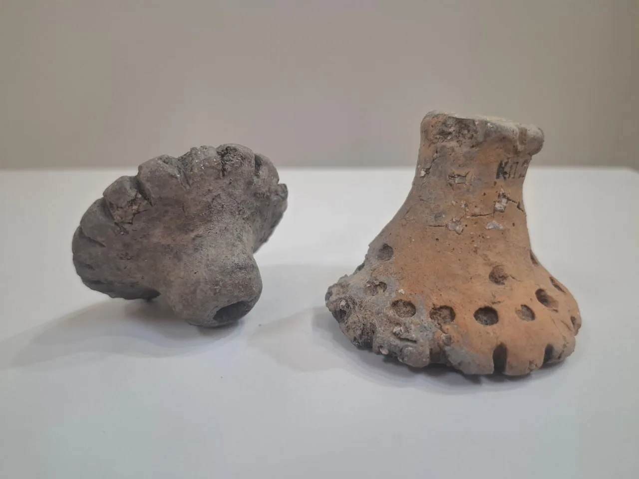 ⛏ Сотрудник Музея Дубны принял участие в археологических раскопках в Подмосковье