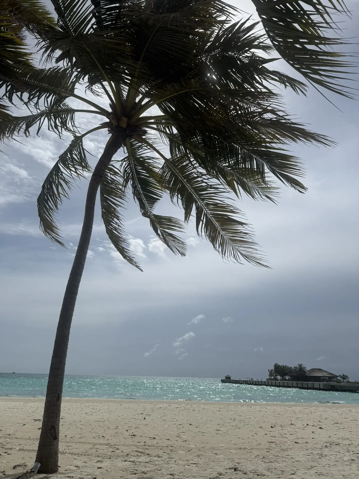 ♥️🏝️