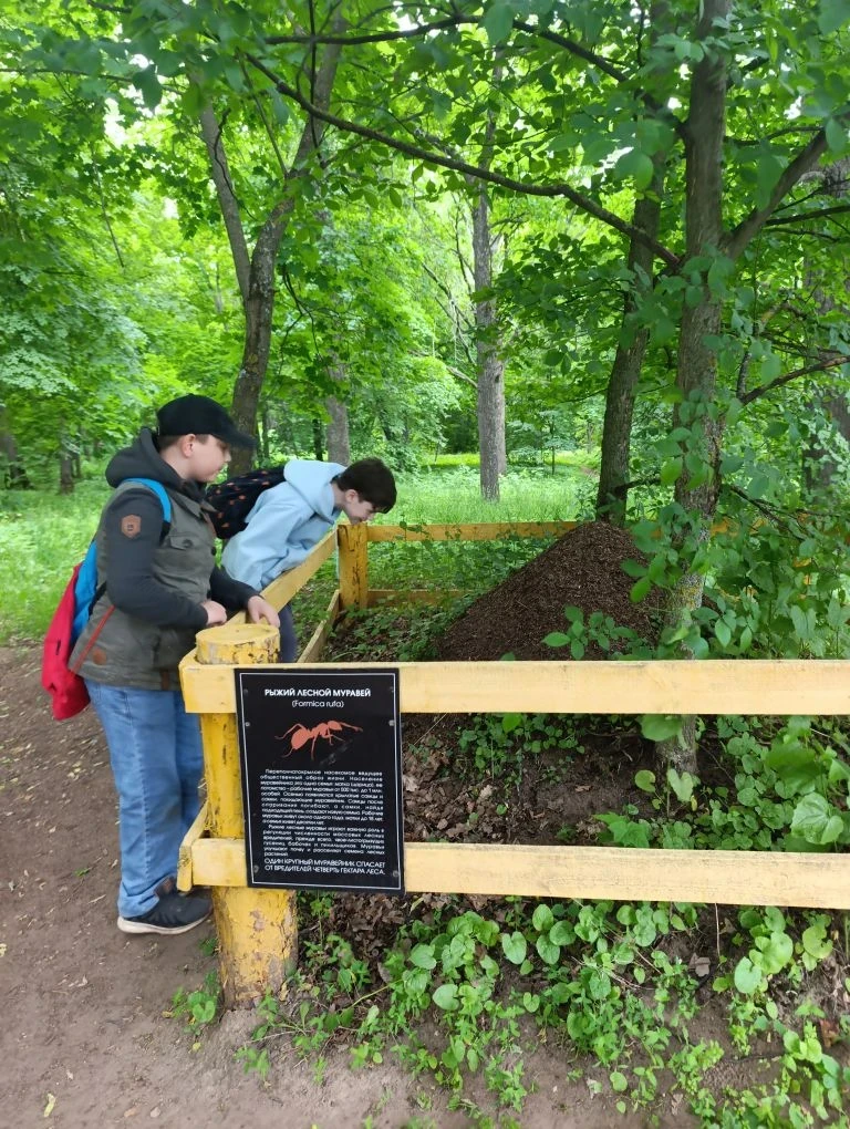 🌿🦆 «Юннаты первых» на Красном ключе, экопарке и Пионерском озере — день, полный откры...