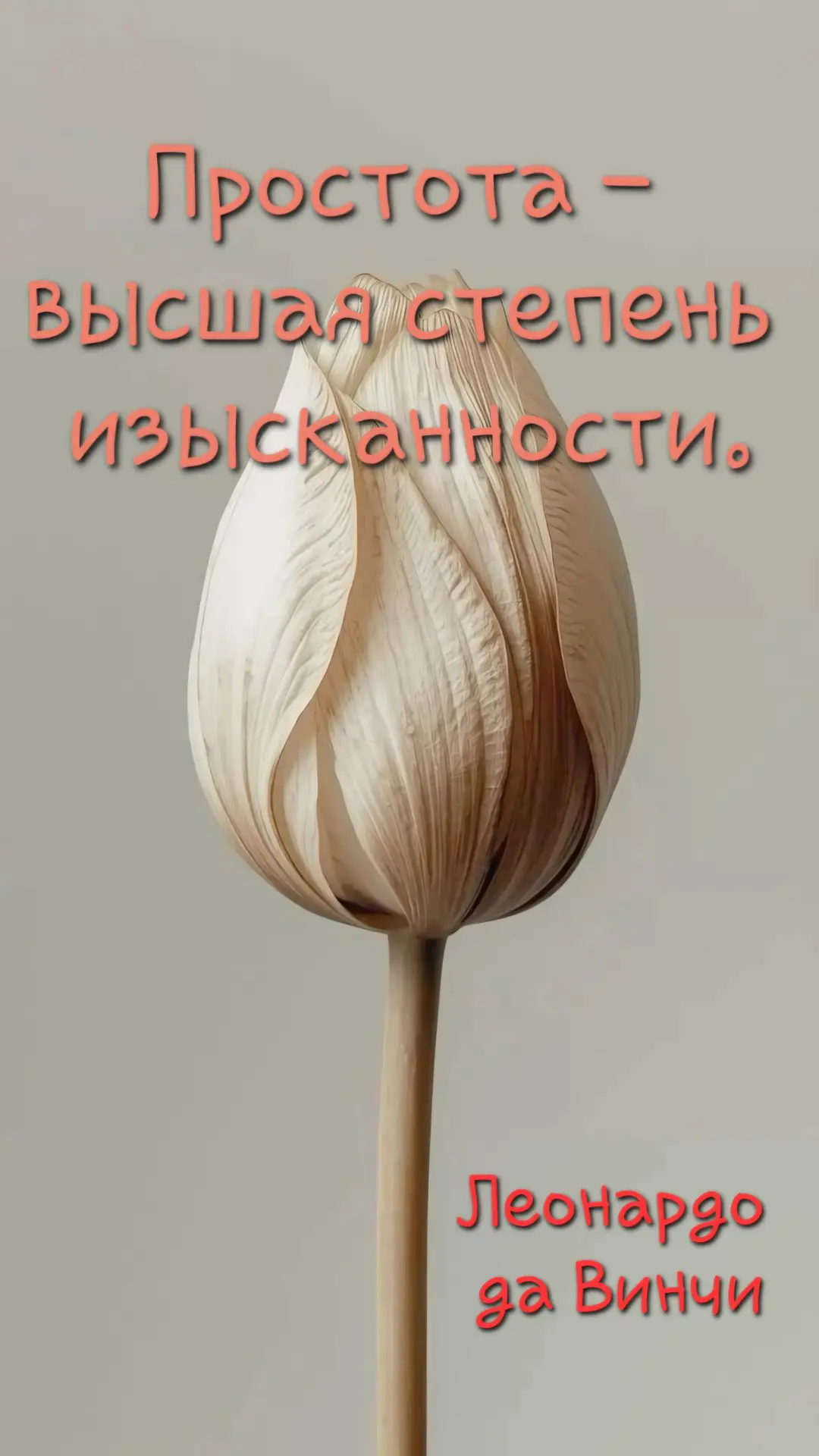 Доброй ночи 💫