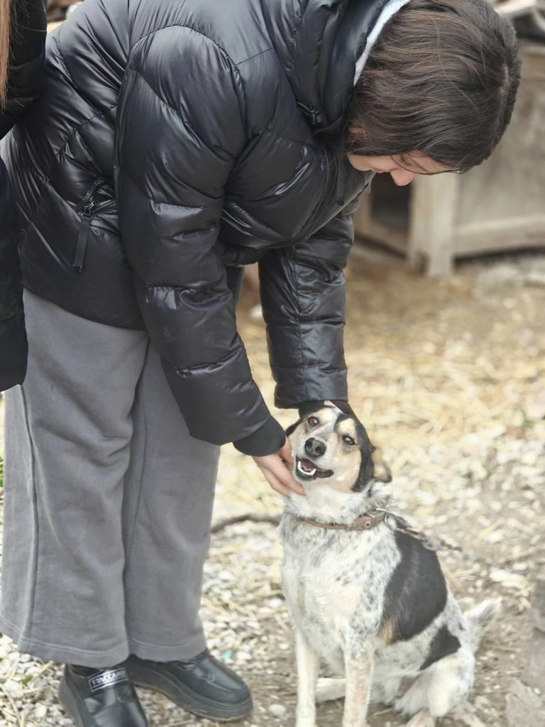 🐾 А сегодня — настоящий праздник души!  Волонтёры отряда «Добро 22» отправились в гости в приют «Пре