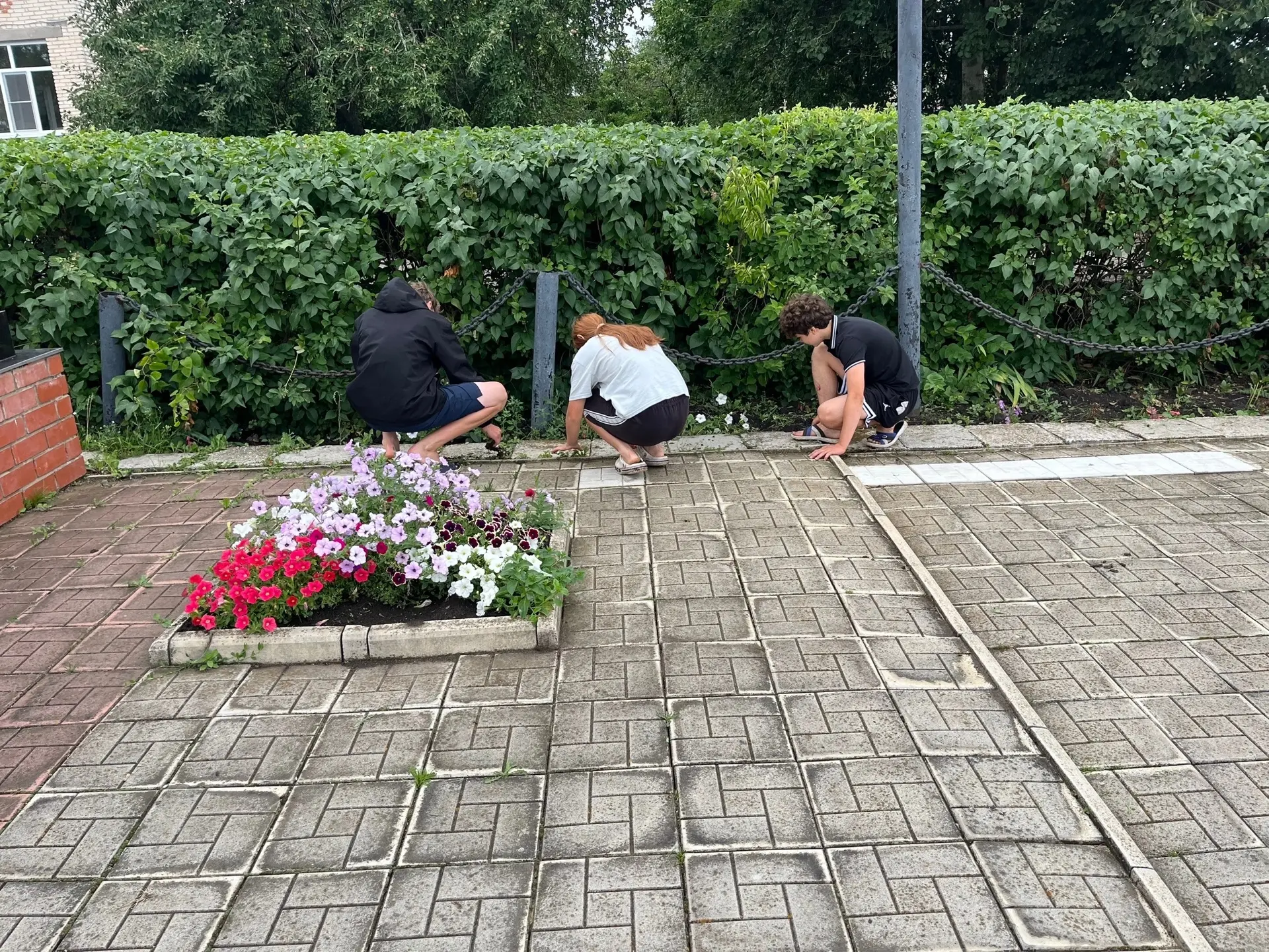 Продолжается пятая трудовая четверть. 7 класс дружно поработали на территории памятника.