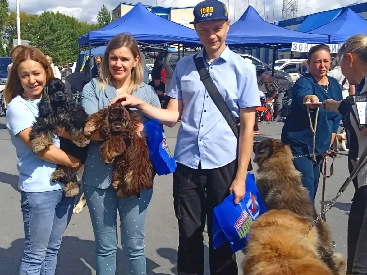 ⚡ Монопородная выставка американского кокер-спаниеля