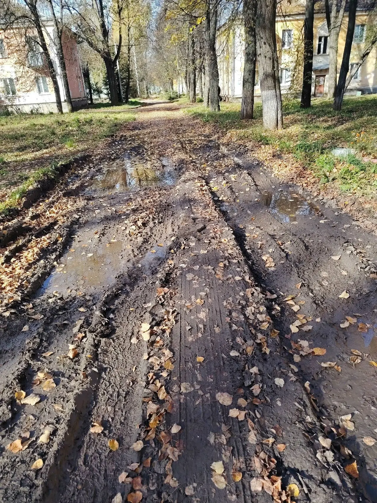 ✉️От жителя Глазова: