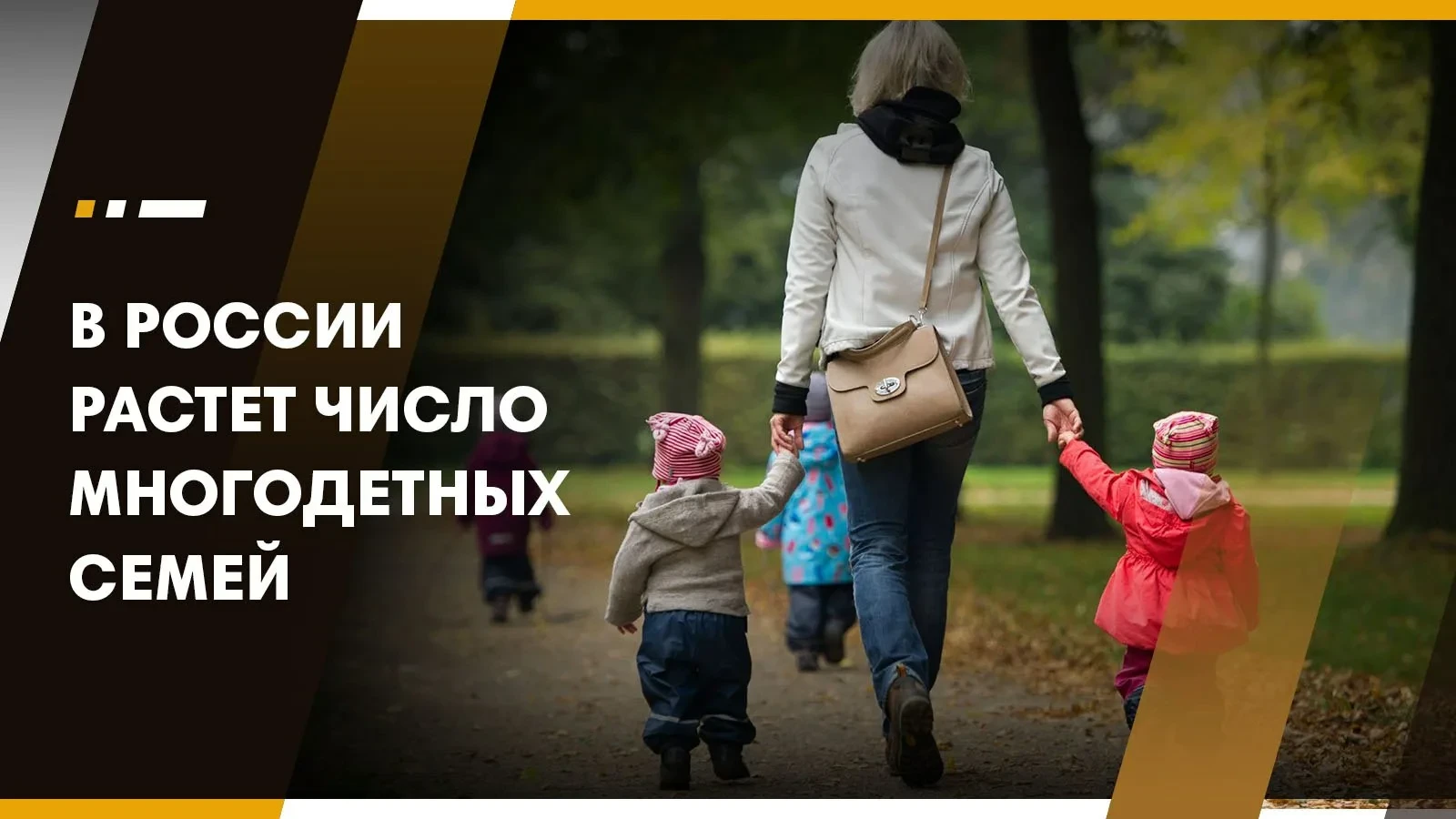 Число многодетных семей в России выросло на 16% с 2024 года