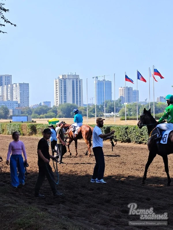🏆 На ростовском ипподроме после долгого перерыва прошёл Кубок губернатора