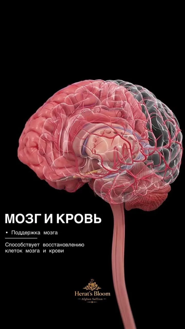 ✅️ Легендарная специя ✅️