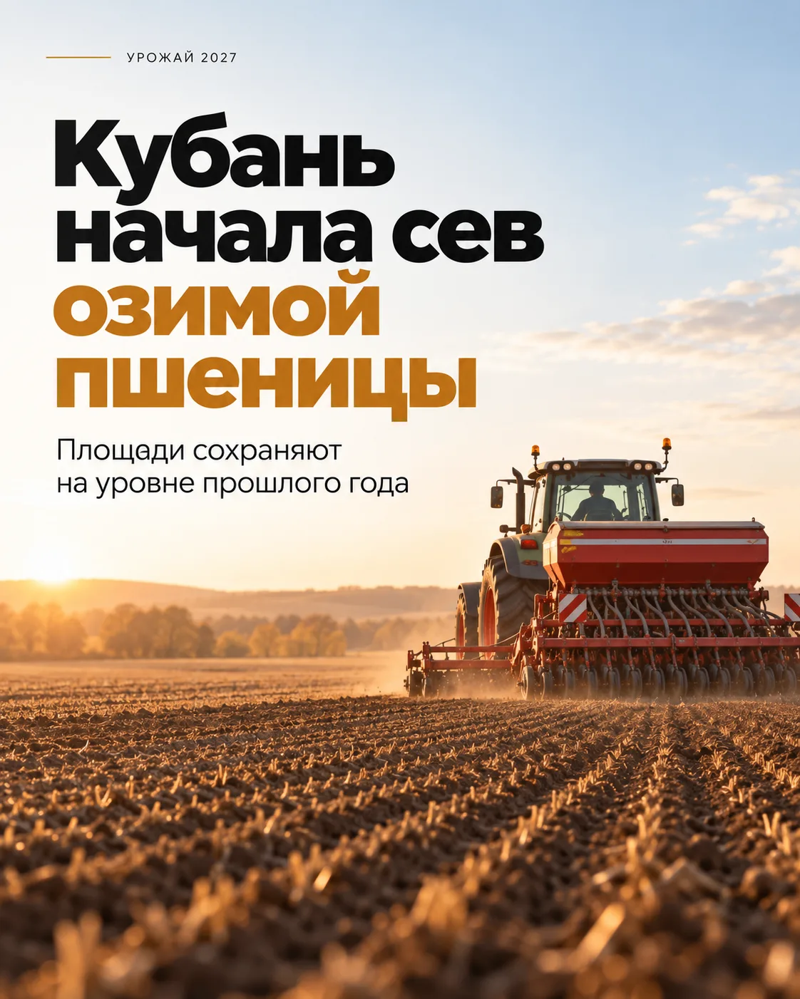 🚜🌱 Кубань начала сев озимой пшеницы под урожай 2027 года