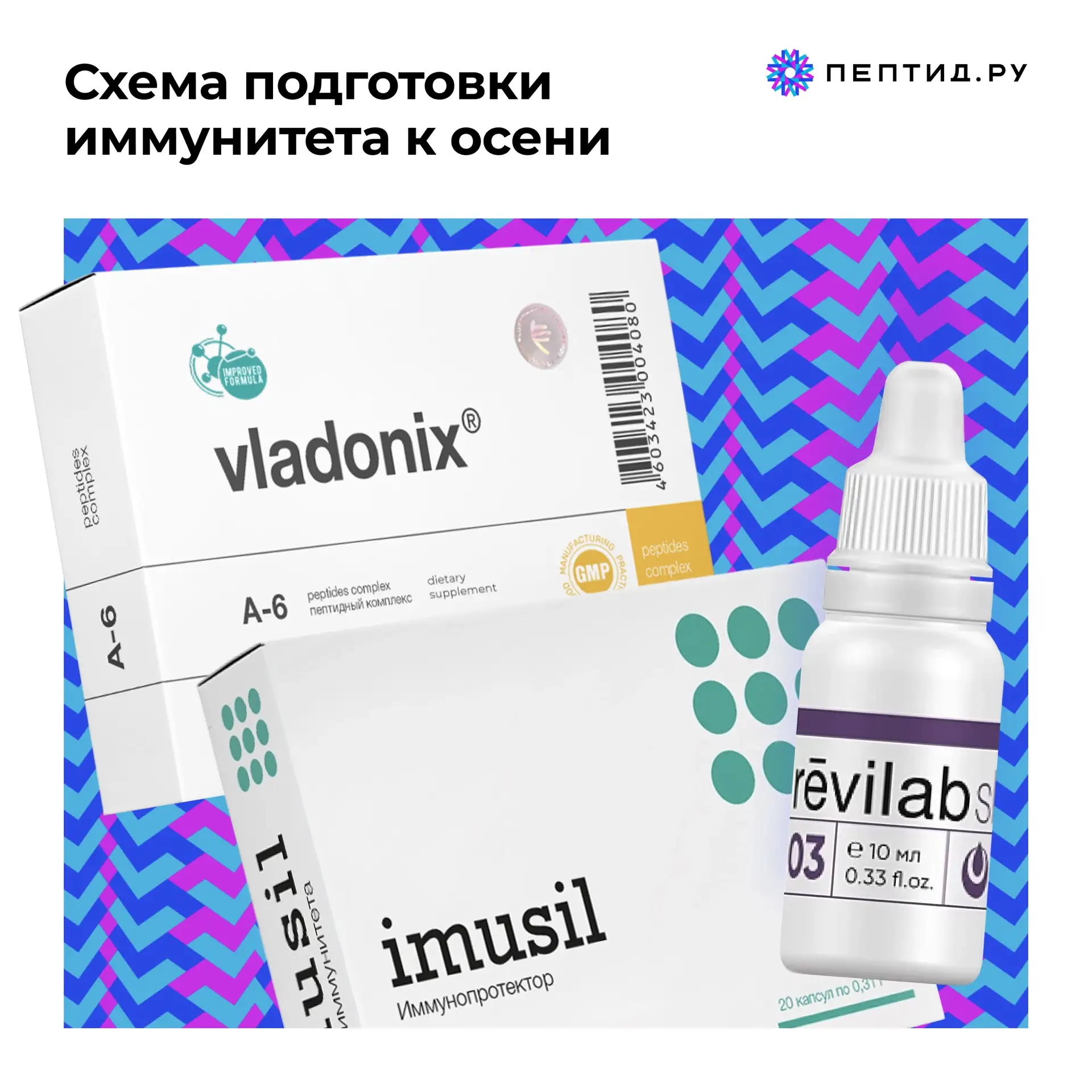 Схема подготовки иммунитета к осени