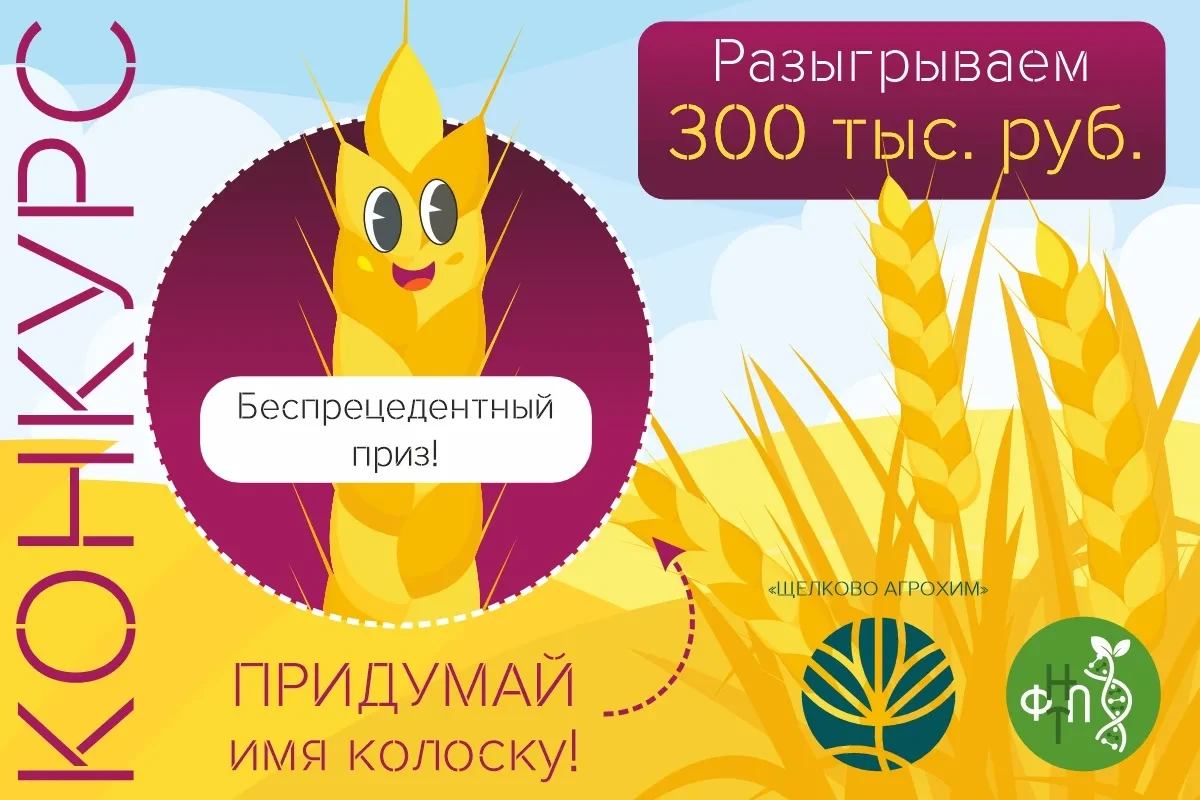 «ЩЕЛКОВО АГРОХИМ» РАЗЫГРЫВАЕТ 3️⃣0️⃣0️⃣ ТЫС. РУБ. ЗА НОВЫЕ НАЗВАНИЯ СОРТА ПШЕНИЦЫ!