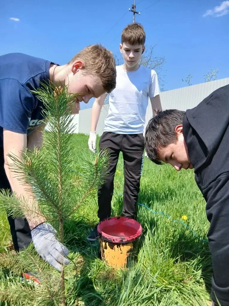 🌿 Акция «Сад памяти» — живые символы благодарности! 🌿

💫Сегодня, 6 мая 2026 года, ученики 8 «Б» к