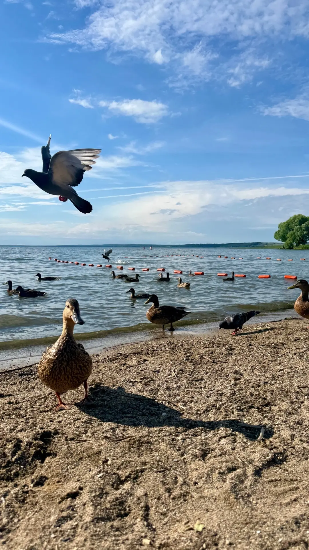 Лето 🥰