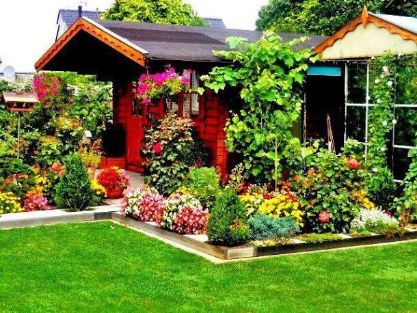 Топ-5 простых правила для красоты сада🏡