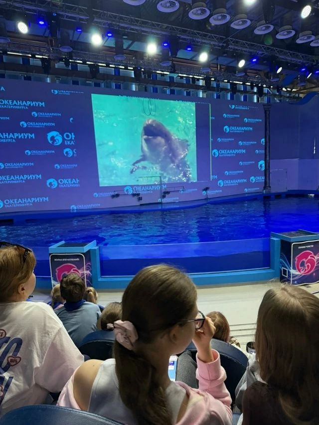 🌊 День открытий в океанариуме Екатеринбурга! 🐬 [club171746252|Океанариум Екатеринбурга] 

Сегодня 