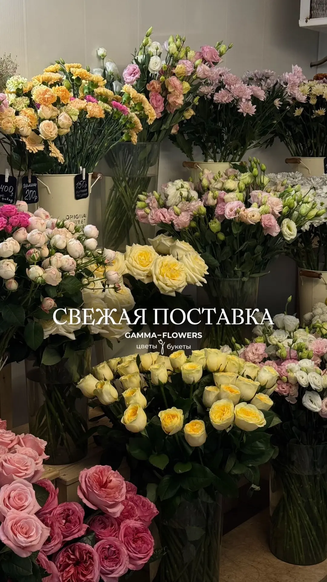 СВЕЖАЯ ПОСТАВКА 😍🫶🏻