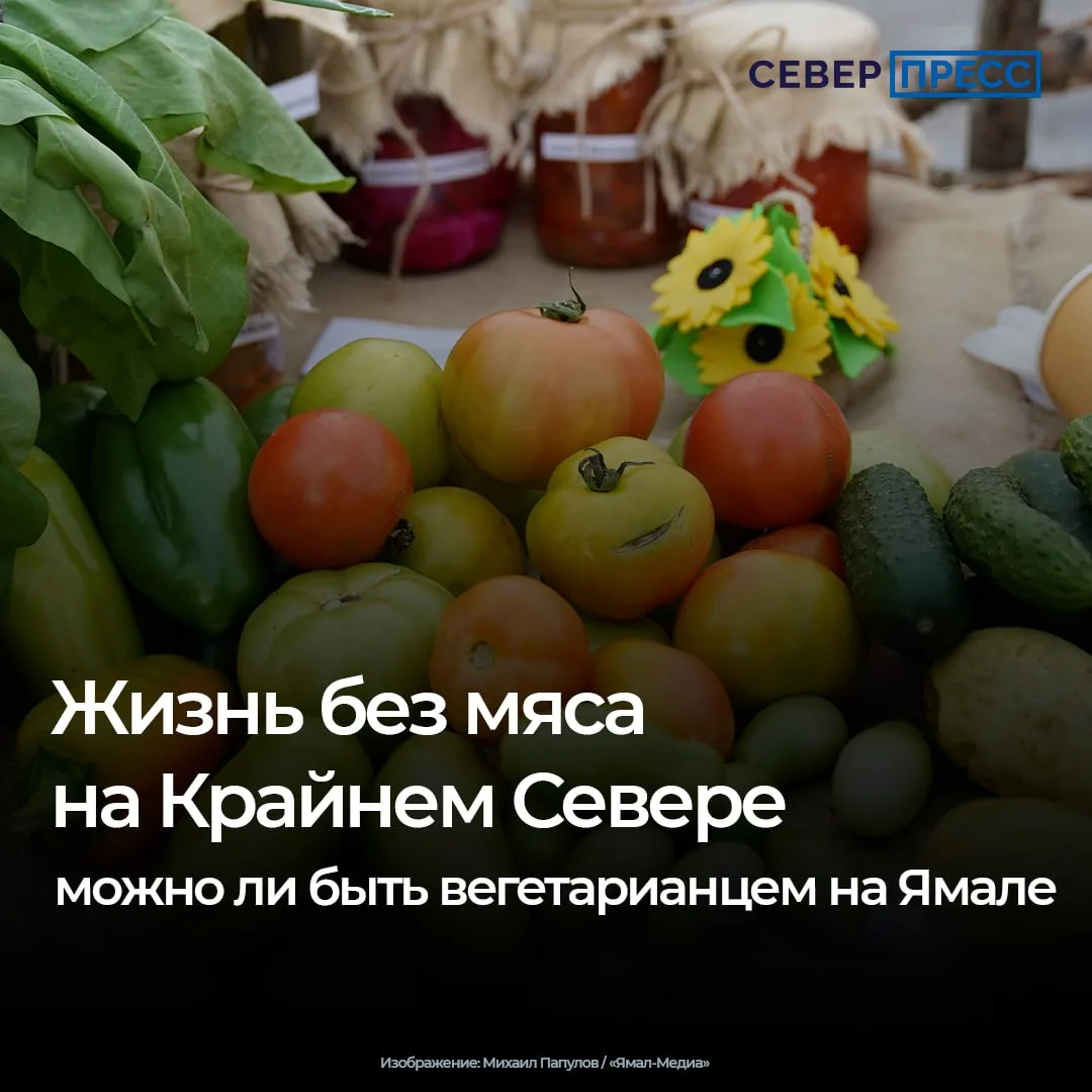 Всемирный день вегетарианства отмечается 1 октября. В России, по данным опросов на 2023...